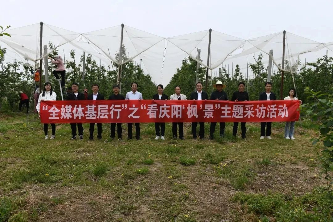 庆阳政法全媒体基层行·看庆阳“枫”景
