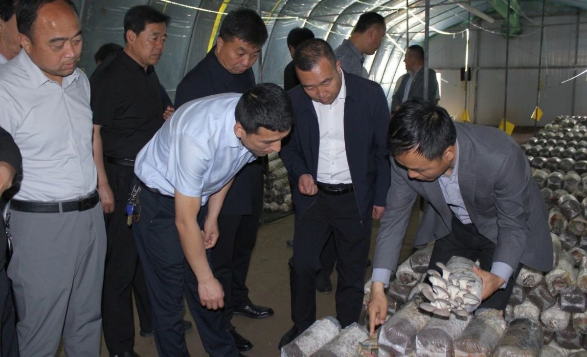 为进一步推动农村人居环境整治、金银花栽植管护、项目开发等重点工作做实、做细、做出成效，客观查摆各村在工作中存在的问题，取长补短，共同提高。5月9日至10日，春荣镇组织全体科级干部、各村负责人及镇村人大代表，开展了为期两天的环境整治、产业发展、项目开发等工作“互比互学互看”活动。

镇内互比互学

5月9日，对全镇21个村农村人居环境整治、金银花栽植管护等工作进行现场观摩评比，通过看、听，议、评的方式，激发各村学习典型经验、查找不足，进一步明确工作目标，为下一步工作打好基础。

每到一处，由各党支部书记对所在村重点工作开展情况、典型经验做法以及今后工作打算作详细汇报，包村领导进行补充。镇主要领导现场作点评，镇村人大代表结合各村实际工作情况进行提问交流。整个观摩过程中，参加人员边看边听边议，发现亮点、指出弱项，现场打分，学习氛围浓厚。观摩学习结束后，代表们及各村负责人纷纷表示，要将学到的经验结合本村实际运用到自己的工作上，发展产业、因地制宜推进农村人居环境整提升，开拓创新发展特色产业。

镇外互鉴互学

5月10日，赴太昌镇、和盛镇、焦村镇、新宁镇实地观摩学习产业发展、项目开发等工作，以看促思、以学见长，迅速推动全镇人居环境整治和产业发展工作提质增效。

观摩组先后深入太昌镇王孝锡烈士红色教育基地、中共邠宁支部旧址、和盛镇松愉现代农业食用菌种植基地、和盛镇杨家庄食用菌种植示范户、焦村镇甘农蘑力食用菌全产业链建设项目基地、新宁镇井坳村人居环境整治示范村，通过实地观摩、听取介绍、交流探讨的方式，全面学习了解了兄弟乡镇在产业发展、项目开发、乡村治理等方面的成功经验和先进做法。




“他山之石，可以攻玉”。大家“观”有所得，“行”有所获，不仅开拓了思路视野，看到了差距，感受到了压力，也学到了兄弟乡镇在产业发展和项目建设方面的先进经验，激发了大家探索新工作思路的热情。大家纷纷表示，要以此次观摩学习为契机，充分吸收、借鉴兄弟乡镇在工作中的好思路和好做法，紧密结合自身实际，努力探索出产业发展的“新路子”，乡村建设的“好点子”，乡村治理的“药方子”。