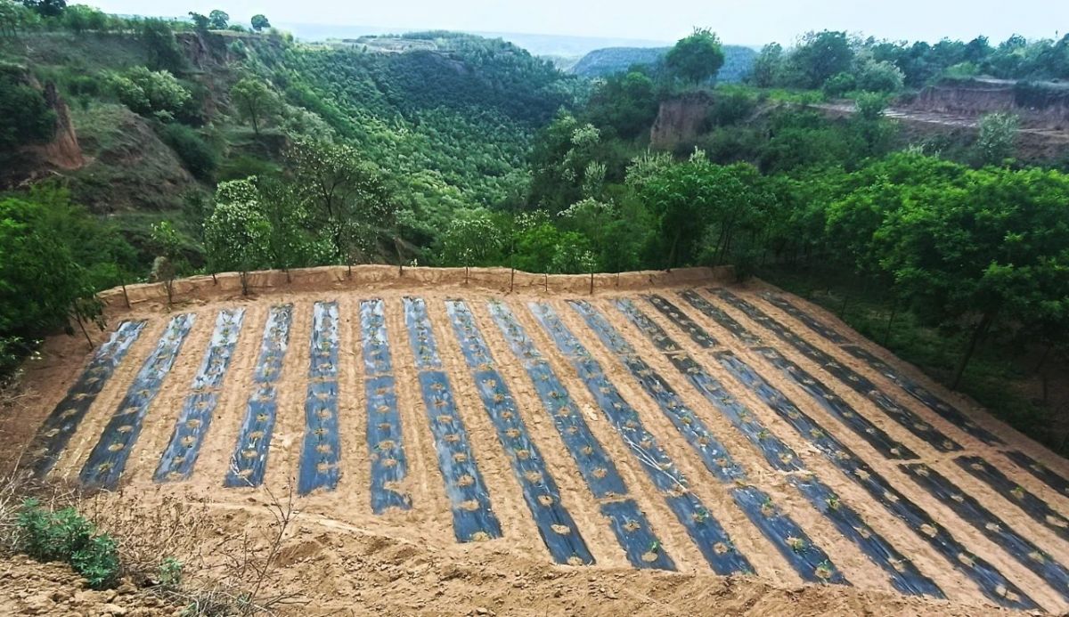 为进一步推动农村人居环境整治、金银花栽植管护、项目开发等重点工作做实、做细、做出成效，客观查摆各村在工作中存在的问题，取长补短，共同提高。5月9日至10日，春荣镇组织全体科级干部、各村负责人及镇村人大代表，开展了为期两天的环境整治、产业发展、项目开发等工作“互比互学互看”活动。

镇内互比互学

5月9日，对全镇21个村农村人居环境整治、金银花栽植管护等工作进行现场观摩评比，通过看、听，议、评的方式，激发各村学习典型经验、查找不足，进一步明确工作目标，为下一步工作打好基础。

每到一处，由各党支部书记对所在村重点工作开展情况、典型经验做法以及今后工作打算作详细汇报，包村领导进行补充。镇主要领导现场作点评，镇村人大代表结合各村实际工作情况进行提问交流。整个观摩过程中，参加人员边看边听边议，发现亮点、指出弱项，现场打分，学习氛围浓厚。观摩学习结束后，代表们及各村负责人纷纷表示，要将学到的经验结合本村实际运用到自己的工作上，发展产业、因地制宜推进农村人居环境整提升，开拓创新发展特色产业。

镇外互鉴互学

5月10日，赴太昌镇、和盛镇、焦村镇、新宁镇实地观摩学习产业发展、项目开发等工作，以看促思、以学见长，迅速推动全镇人居环境整治和产业发展工作提质增效。

观摩组先后深入太昌镇王孝锡烈士红色教育基地、中共邠宁支部旧址、和盛镇松愉现代农业食用菌种植基地、和盛镇杨家庄食用菌种植示范户、焦村镇甘农蘑力食用菌全产业链建设项目基地、新宁镇井坳村人居环境整治示范村，通过实地观摩、听取介绍、交流探讨的方式，全面学习了解了兄弟乡镇在产业发展、项目开发、乡村治理等方面的成功经验和先进做法。




“他山之石，可以攻玉”。大家“观”有所得，“行”有所获，不仅开拓了思路视野，看到了差距，感受到了压力，也学到了兄弟乡镇在产业发展和项目建设方面的先进经验，激发了大家探索新工作思路的热情。大家纷纷表示，要以此次观摩学习为契机，充分吸收、借鉴兄弟乡镇在工作中的好思路和好做法，紧密结合自身实际，努力探索出产业发展的“新路子”，乡村建设的“好点子”，乡村治理的“药方子”。