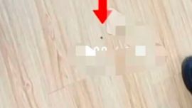 江蘇南京又出現(xiàn)“提燈定損”，地板有黑點房東拒絕退一千多元押金