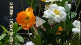 “西安一副鎮(zhèn)長半夜叫我妻子唱歌” 當?shù)丶o委：已啟動調查