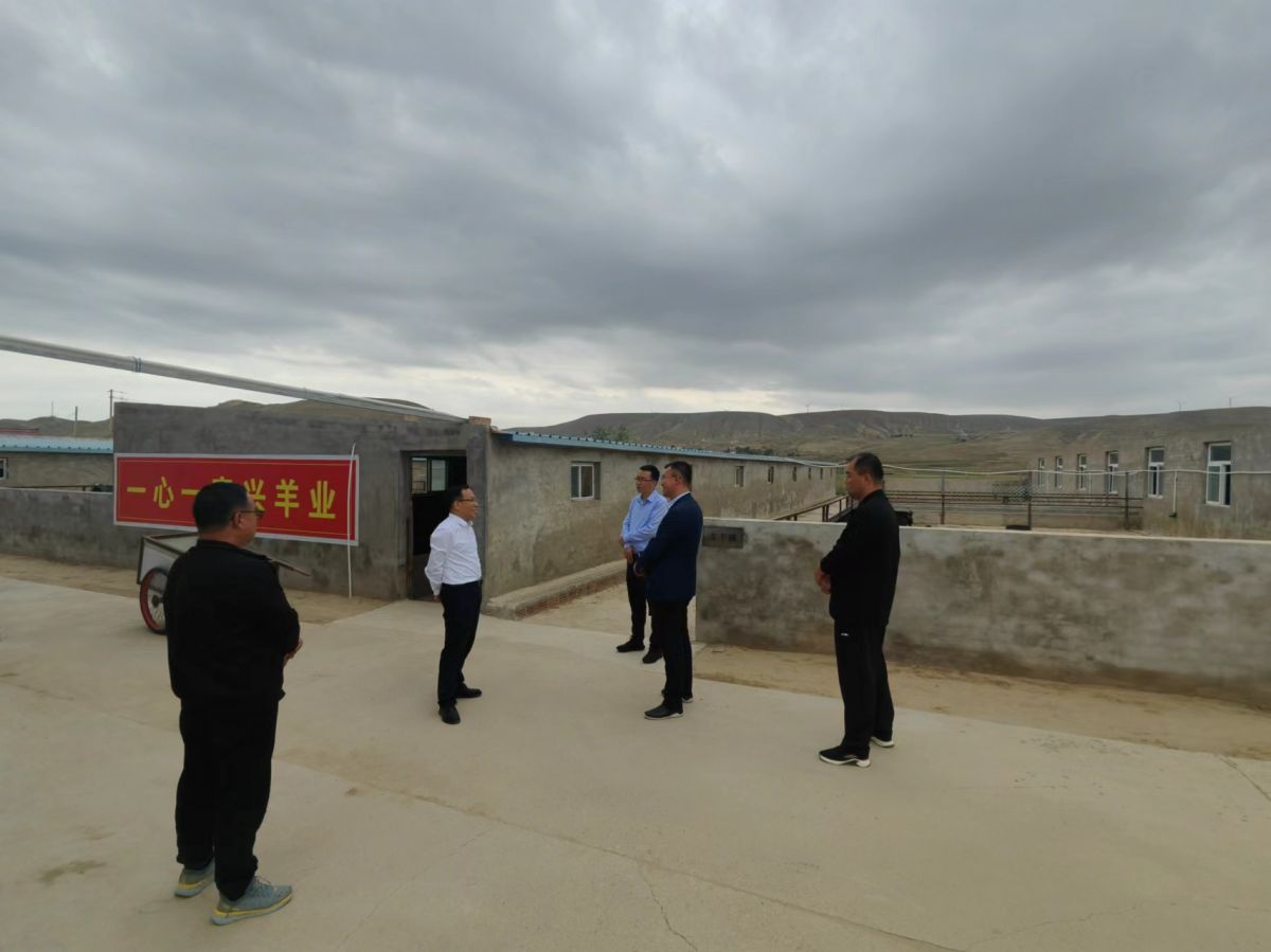 環(huán)縣甜水鎮(zhèn)高崾峴村黨建引領(lǐng)產(chǎn)業(yè)發(fā)展新路徑