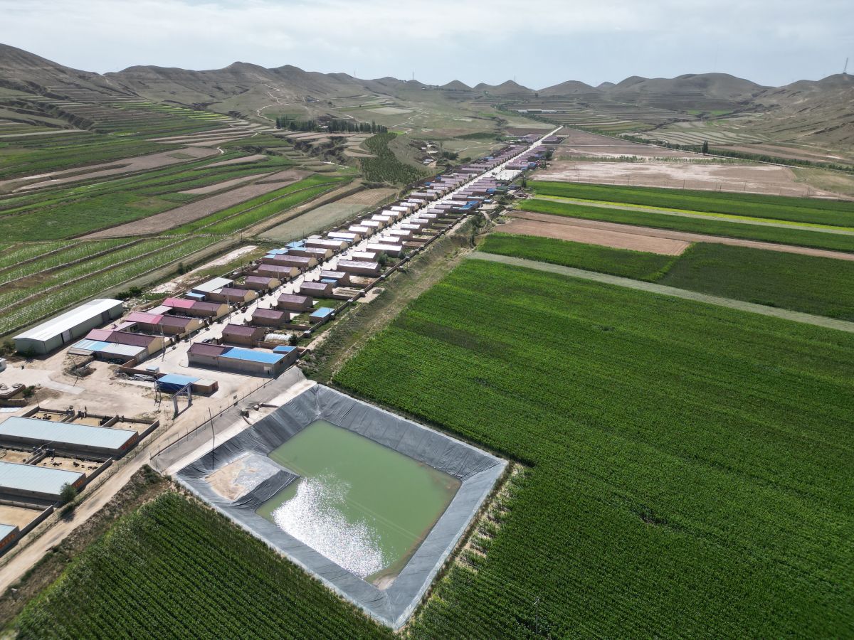 環(huán)縣甜水鎮(zhèn)高崾峴村黨建引領(lǐng)產(chǎn)業(yè)發(fā)展新路徑