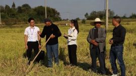 有雙眼睛緊盯農(nóng)田中的腐敗