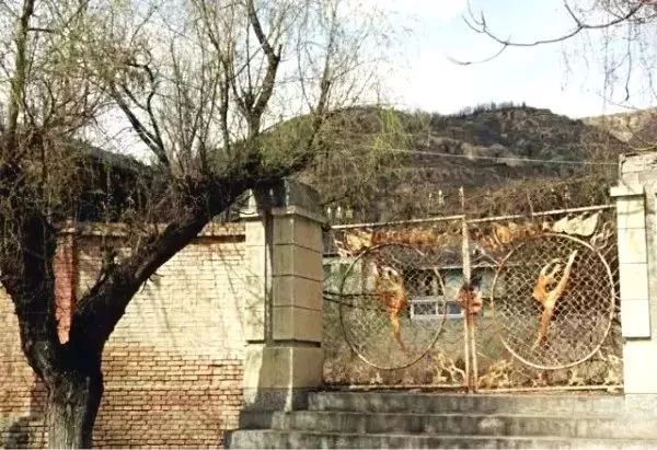 采二子校1