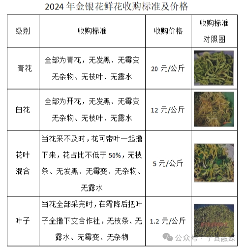 微信图片_20240520190938