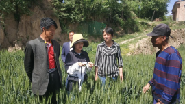 庆阳市“乡村振兴 青年先锋”寻访活动专栏 | 优秀青年事迹展播