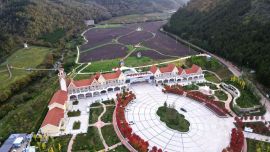 合水縣太白鎮(zhèn)：且看農(nóng)文旅融合發(fā)展的“太白”實(shí)踐