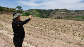 慶陽市自然資源勘測規(guī)劃研究院順利完成2023年度鎮(zhèn)原縣國土變更調(diào)查承諾耕地補充舉證工作