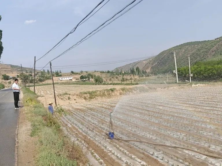 环县：组织人大代表积极参与抗旱护苗行动