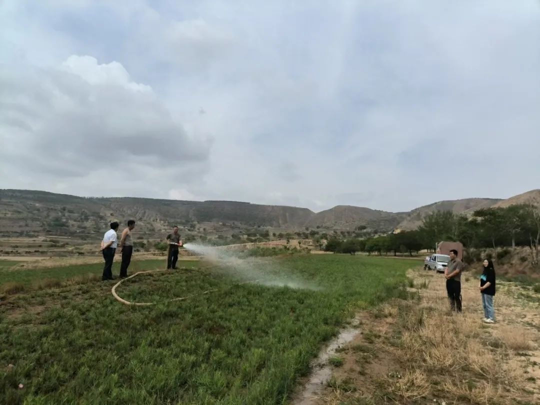 环县：组织人大代表积极参与抗旱护苗行动
