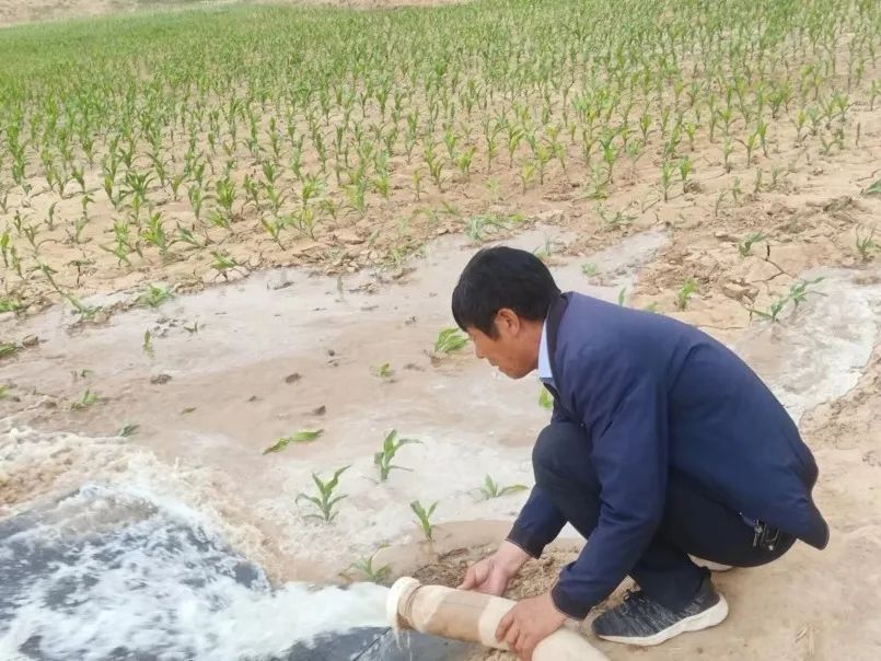 环县：组织人大代表积极参与抗旱护苗行动
