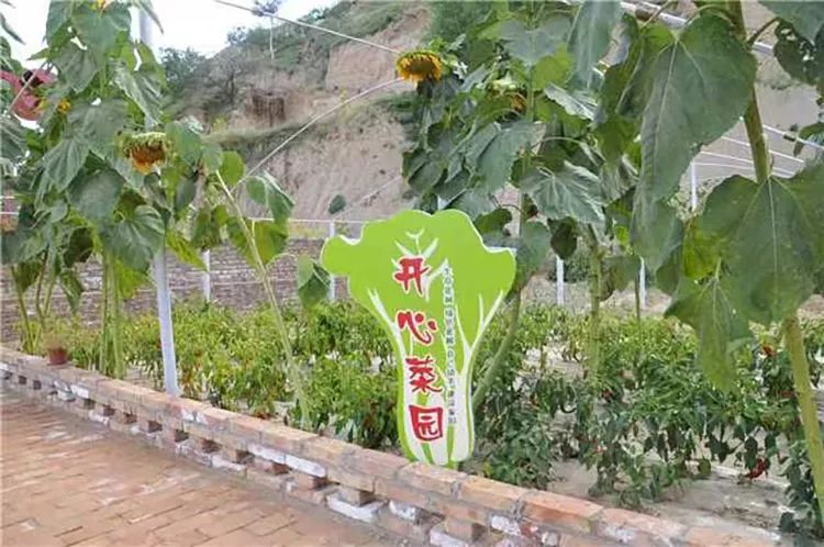 红色庆阳的绿色答卷 图源：庆阳市生态环境局