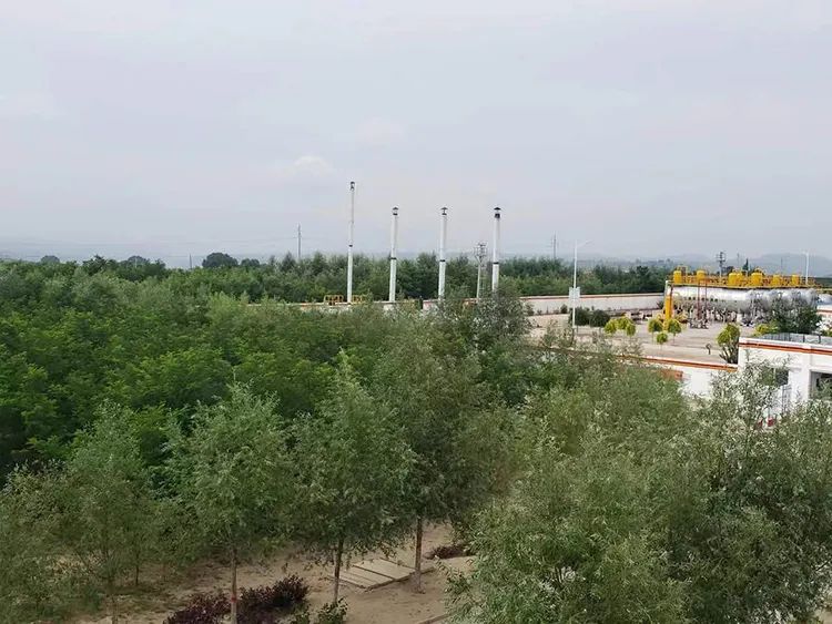 红色庆阳的绿色答卷 图源：庆阳市生态环境局