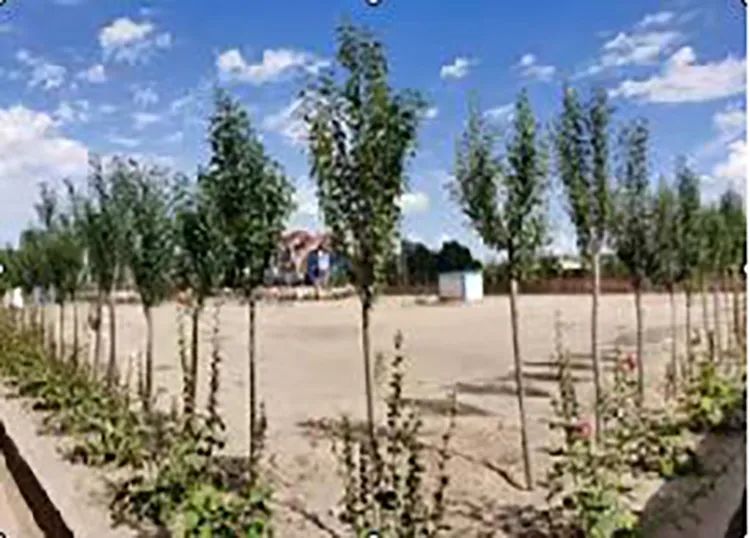 红色庆阳的绿色答卷 图源：庆阳市生态环境局