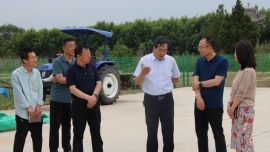 慶陽市林草局黨組書記、局長李華峰調研甘肅省草品種區(qū)域試驗基地建設情況