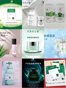 芊荟美之恋多少钱一套，怎么代理加盟