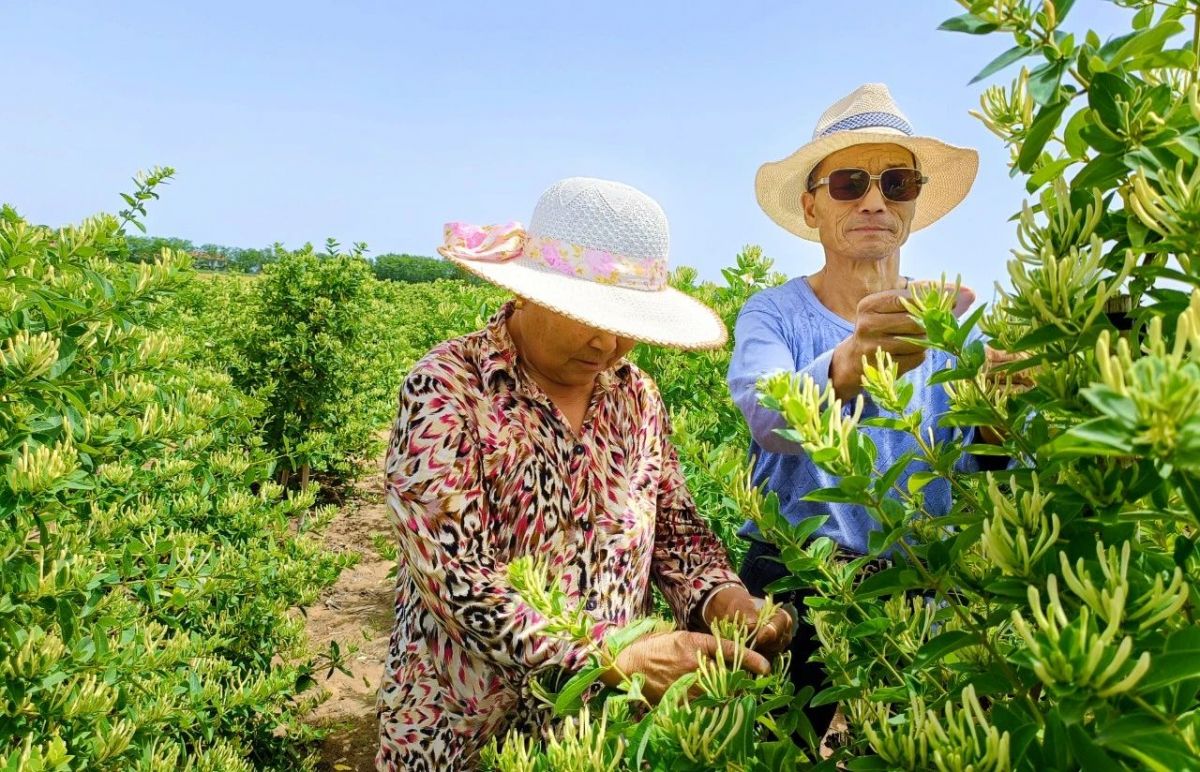 微信圖片_20240530191220