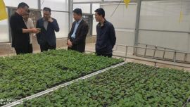 布比（北京）網(wǎng)絡技術有限公司來慶陽考察