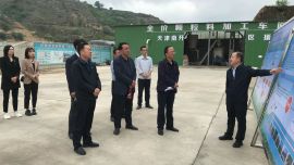 环县政协开展全县和美乡村建设专题调研