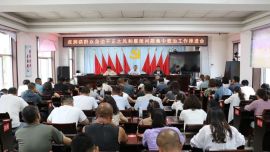 环县虎洞镇召开群众身边不正之风和腐败问题集中整治工作推进会