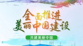 2024年六五環(huán)境日慶陽主題海報~