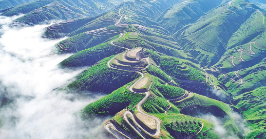俯瞰绿意盎然的陇东大地。