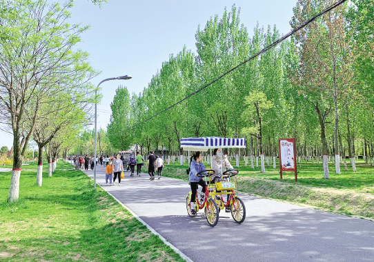 市民在城市海绵运动绿地公园享受周末。庆阳融媒记者 俄少飞 摄