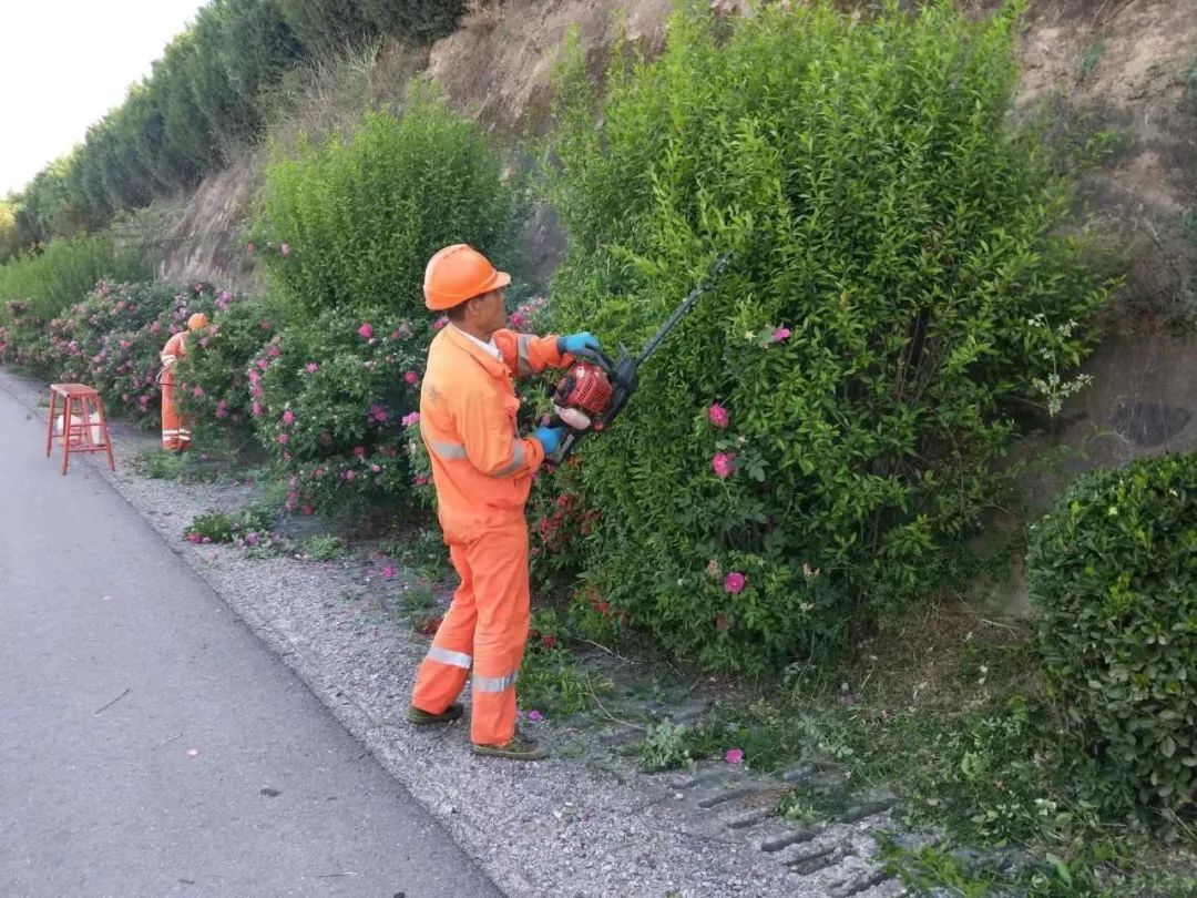 修剪花草树木
