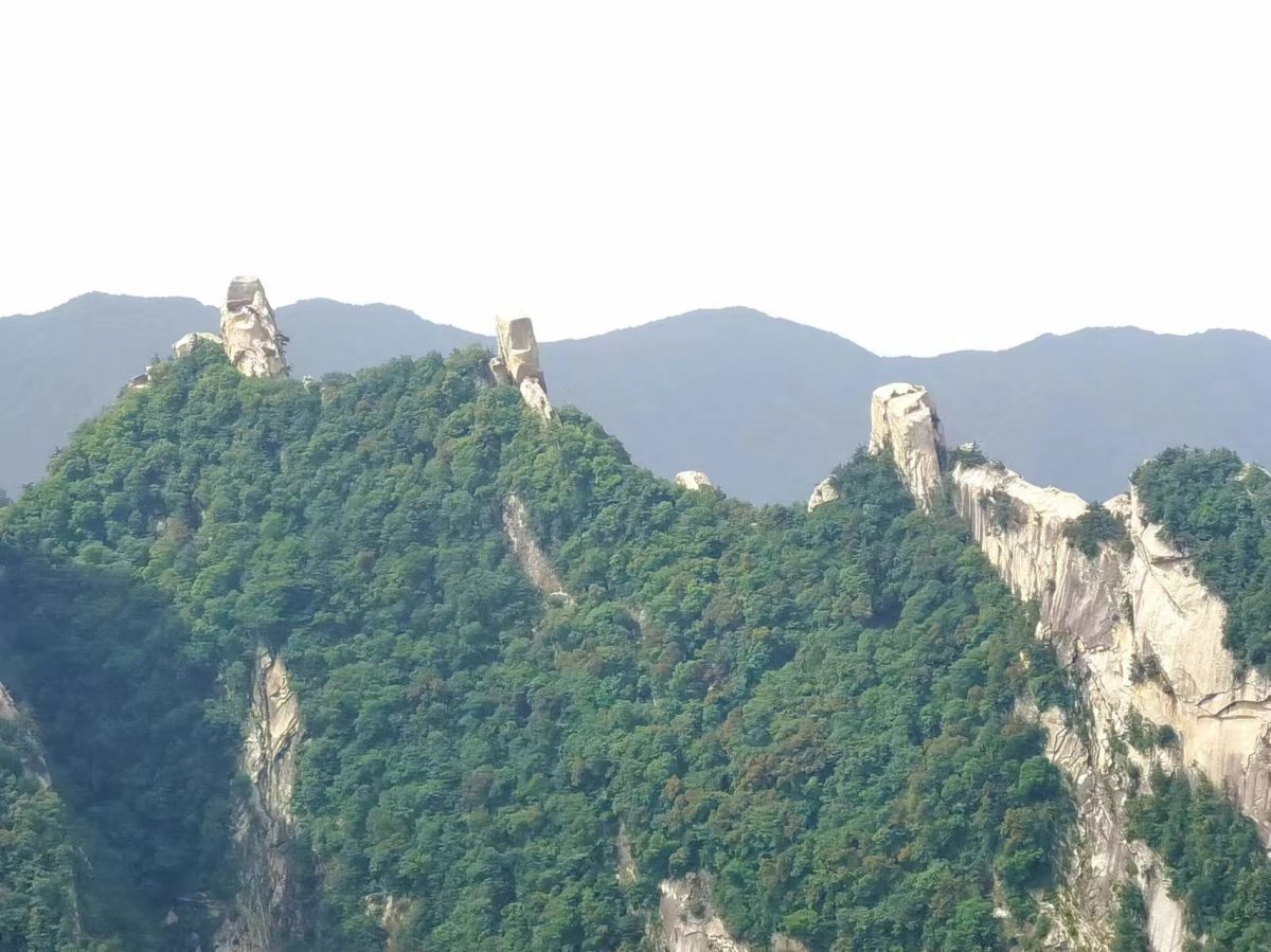 微信图片_20240608104849