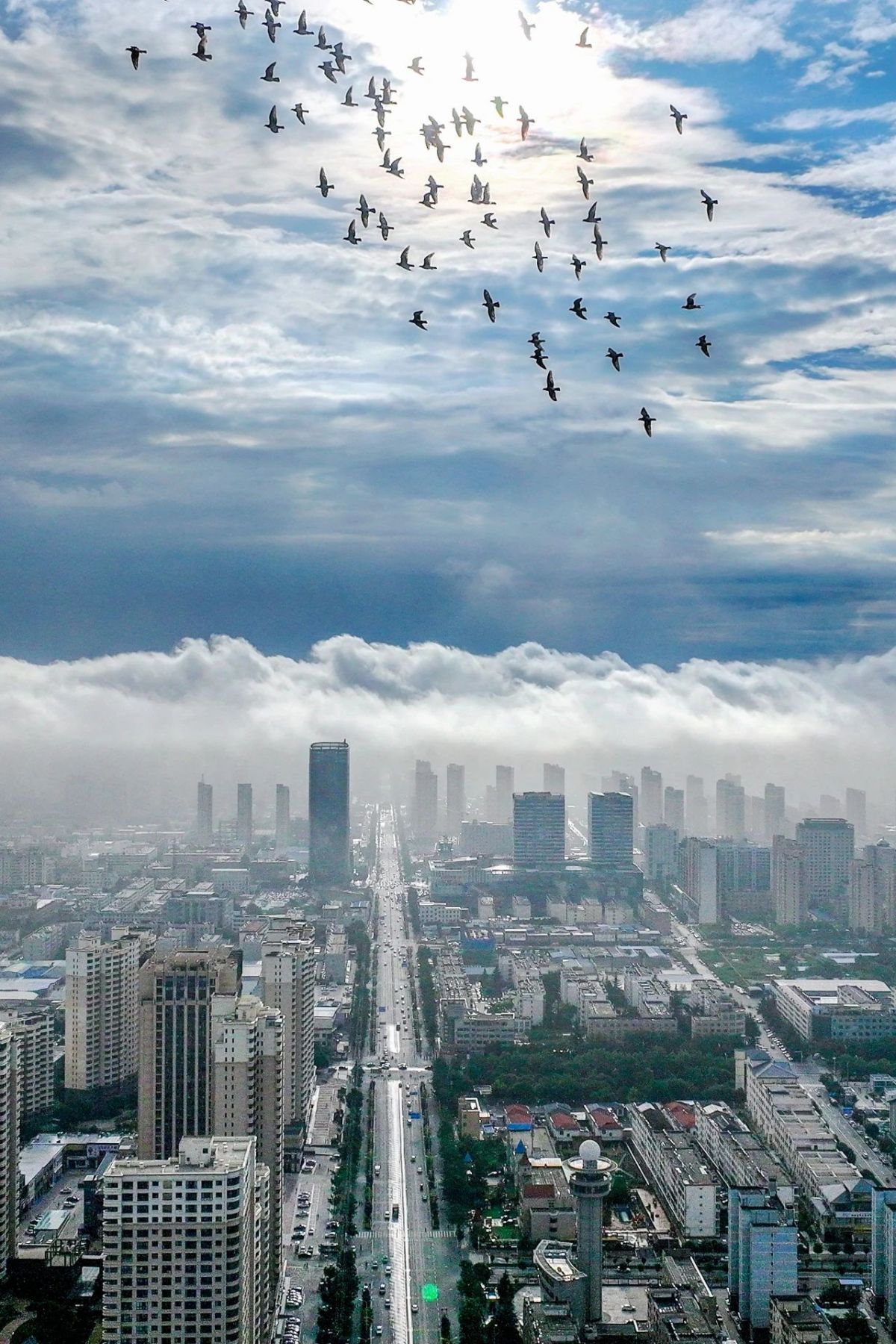 微信图片_20240609162127
