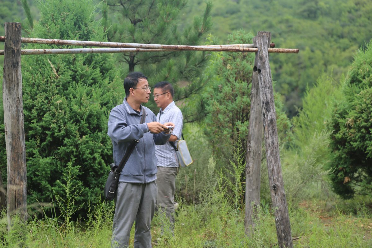 印象庆阳网线下活动回顾-走进“巧儿说法”法治文化发祥地红色华池（2014.8.9—8.10）