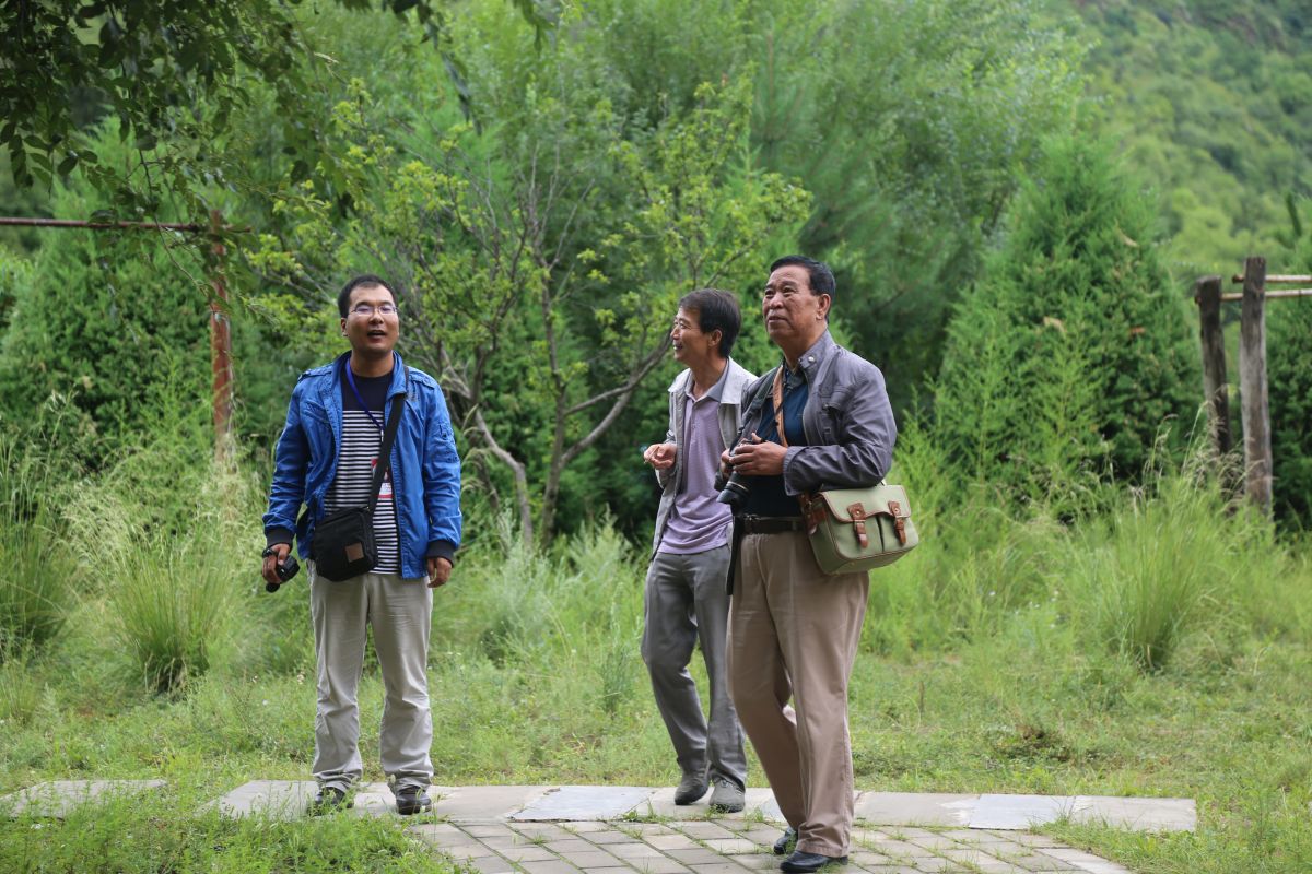 印象庆阳网线下活动回顾-走进“巧儿说法”法治文化发祥地红色华池（2014.8.9—8.10）