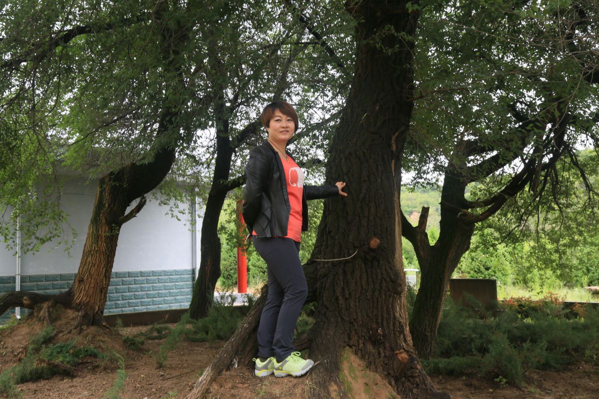 印象庆阳网线下活动回顾-走进“巧儿说法”法治文化发祥地红色华池（2014.8.9—8.10）