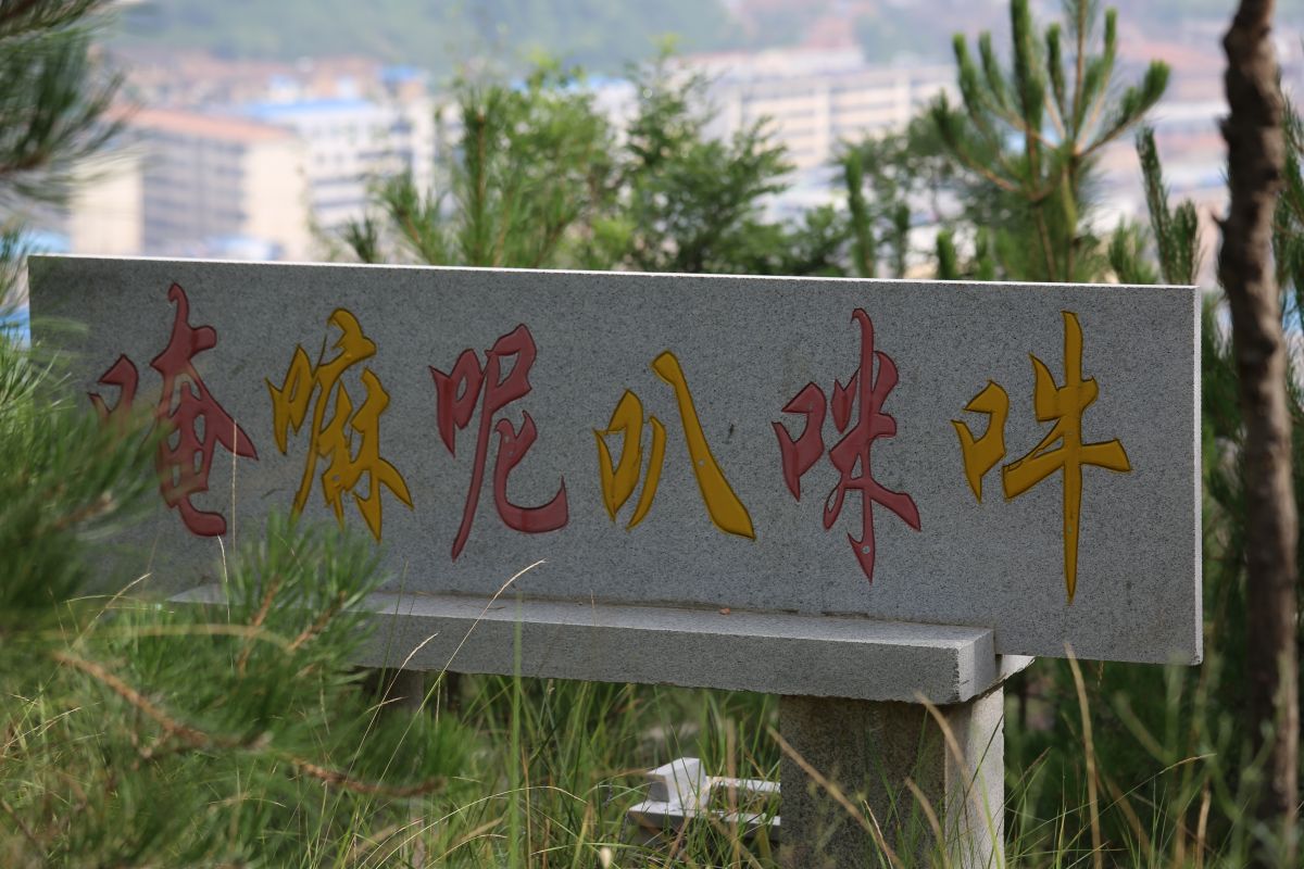 印象庆阳网线下活动回顾-走进“巧儿说法”法治文化发祥地红色华池（2014.8.9—8.10）