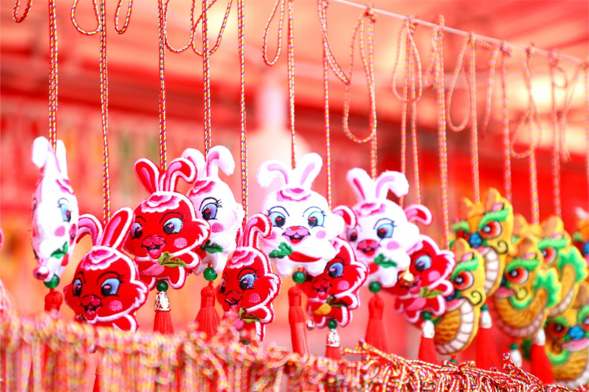 1718006614304057431.jpg 0T6A3129.jpg