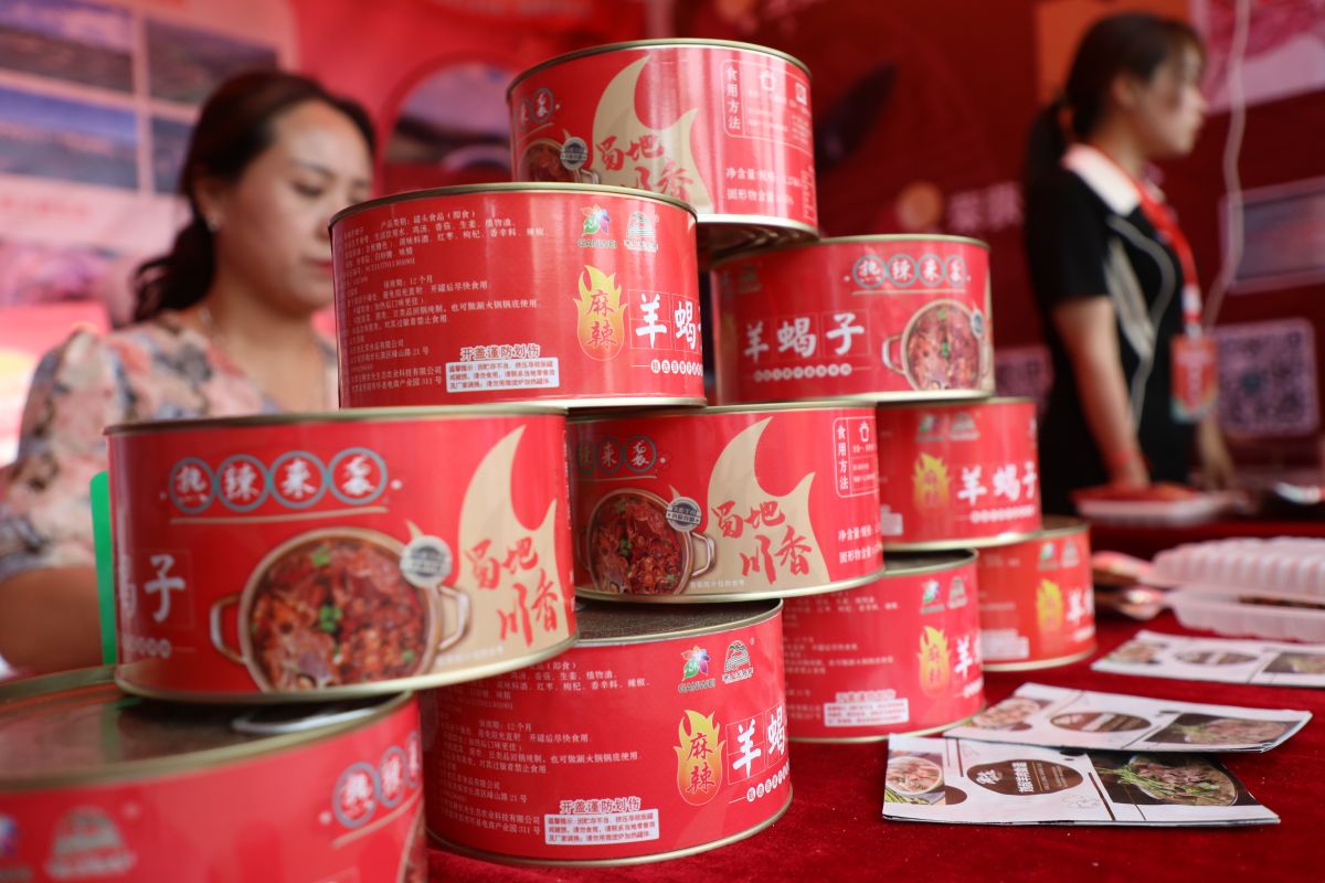 1718007266353004736.jpg 0T6A3489.jpg