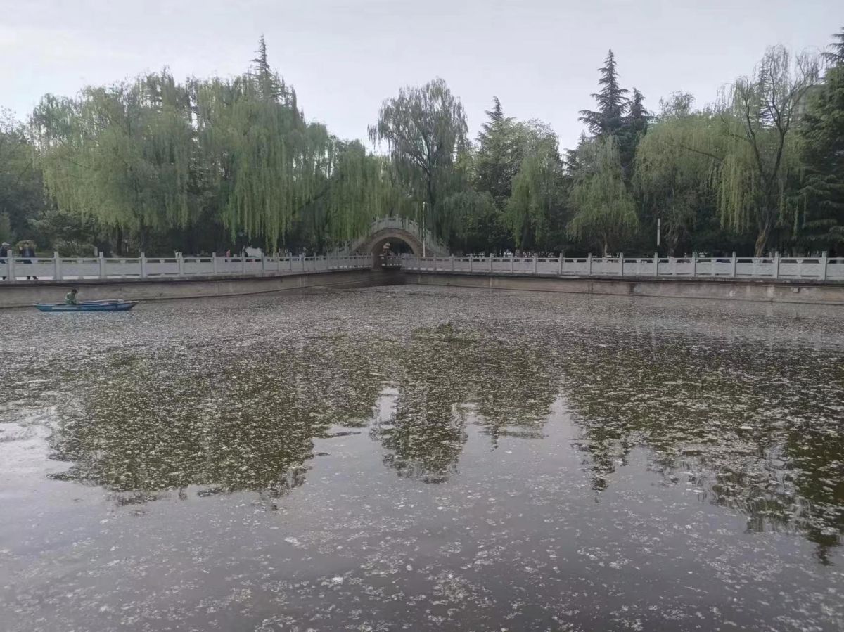 微信图片_20240717085146