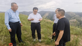 甘肅省藥品監(jiān)管局組織專家開展華池縣中藥材種植基地延伸檢查暨中藥材GAP符合性檢查