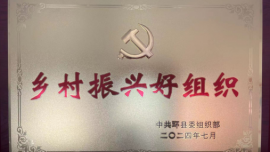 喜報！慶陽市審計局幫扶村獲“環(huán)縣鄉(xiāng)村振興好組織”稱號