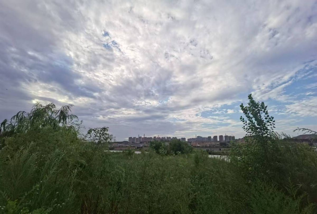 微信圖片_20240807150904