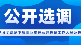 寧縣司法局下屬事業(yè)單位公開選調(diào)工作人員公告