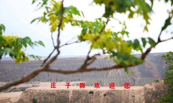 微信图片_20240817105610