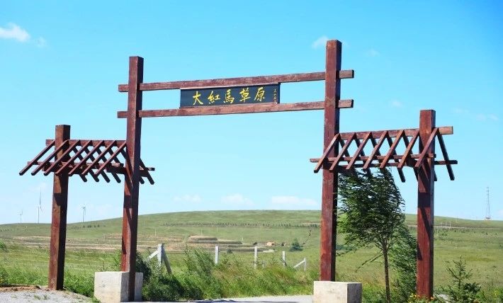微信图片_20240817105626