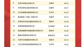 2024甘肅省民營企業(yè)“100強”榜單發(fā)布