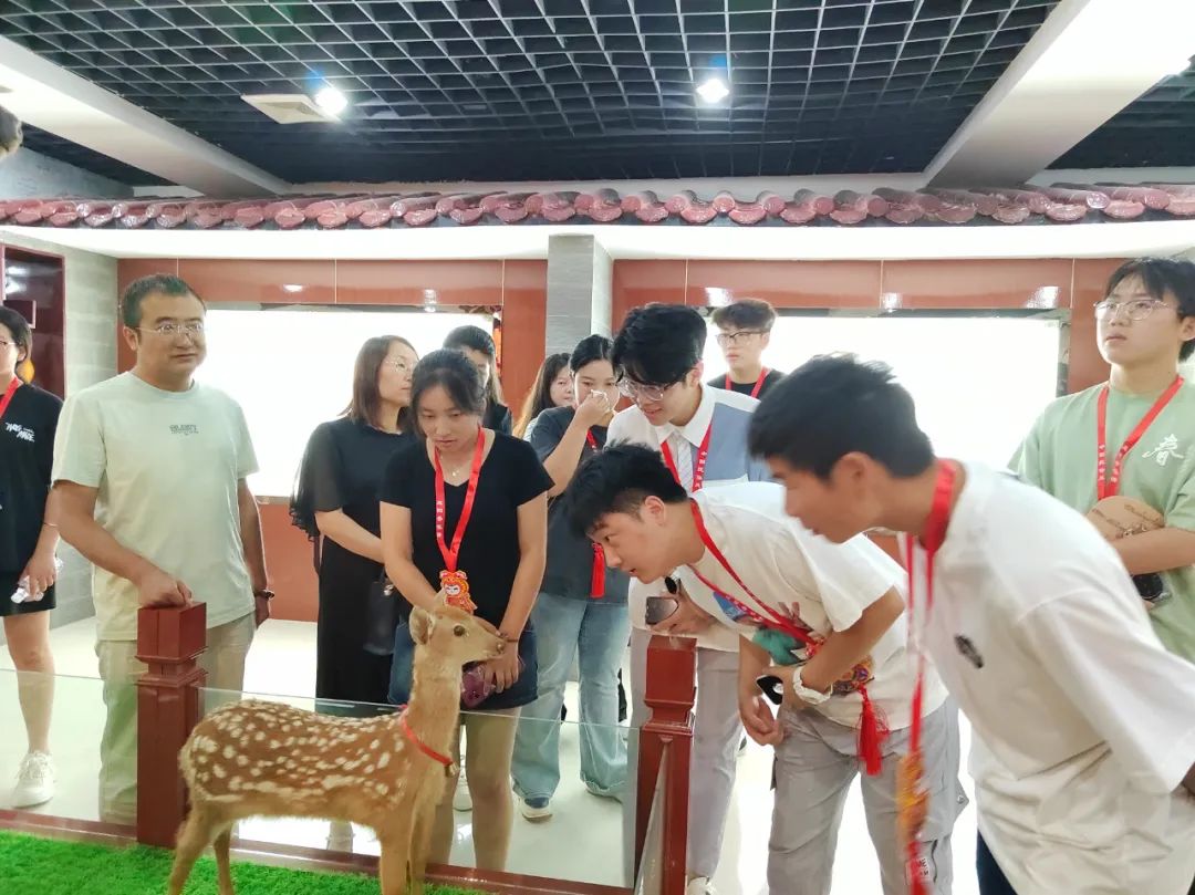 全国大学生中医药文化志愿宣讲团暑期社会实践体验活动图集（图片不分先后）