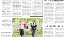 甘肃庆阳：推进数据要素和现代农业协同发展