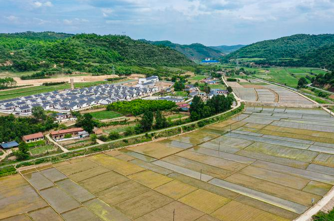 合水县太白镇莲花寺村百亩优质水稻种植基地。庆阳融媒记者 俄少飞 摄