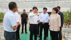 周繼軍在鎮(zhèn)原縣調研