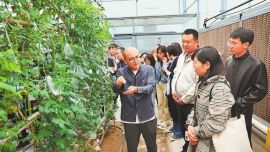 馬鈴薯成為增收致富“金種子” ——第十四屆中國國際薯業(yè)博覽會暨2024年中國·定西馬鈴薯大會觀摩活動見聞